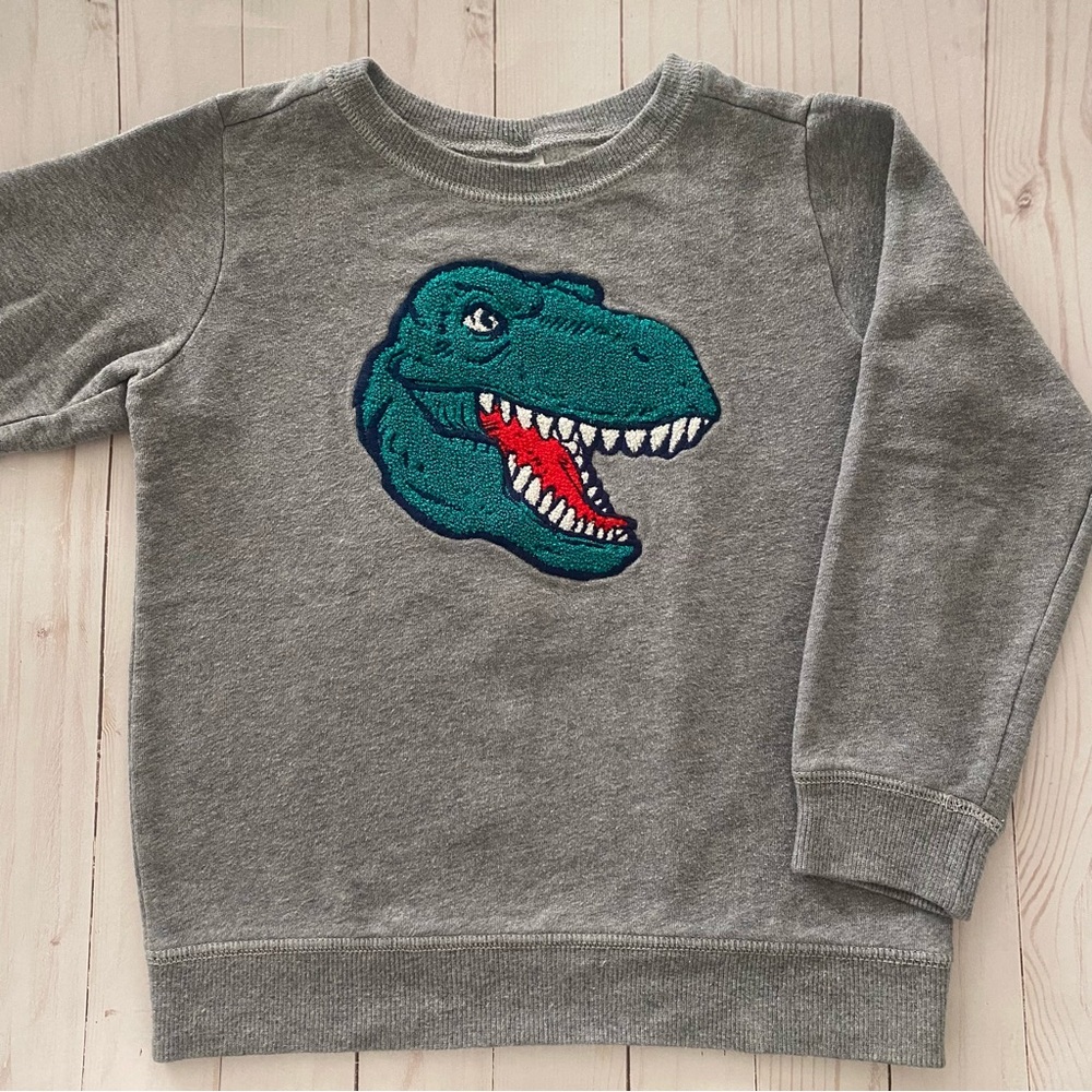 Carter’s Boy Tyrannosaurs Rex/ Dinosaur Embroidered Sweatshirt- Boy Size 8